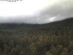 Archiv Foto Webcam Großer Rachel 13:00