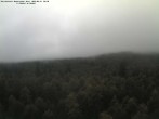 Archiv Foto Webcam Großer Rachel 09:00