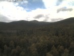Archived image Webcam Großer Rachel summit 11:00