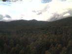 Archived image Webcam Großer Rachel summit 15:00