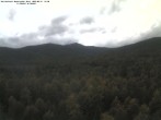 Archived image Webcam Großer Rachel summit 17:00