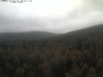 Archiv Foto Webcam Großer Rachel 11:00