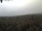 Archiv Foto Webcam Großer Rachel 07:00