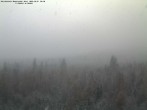 Archived image Webcam Großer Rachel summit 09:00
