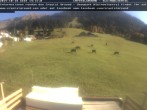 Archived image Webcam Alp &#34;Riezler&#34; 13:00