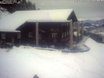 Archived image Webcam Alp &#34;Sonna&#34; 13:00