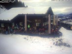 Archived image Webcam Alp &#34;Sonna&#34; 11:00