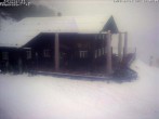 Archiv Foto Webcam Sonna Alp 11:00