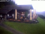 Archived image Webcam Alp &#34;Sonna&#34; 11:00