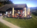 Archived image Webcam Alp &#34;Sonna&#34; 11:00