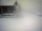 Archiv Foto Webcam Sonna Alp 14:00