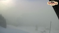 Archiv Foto Webcam Wildentalhütte, Höfle 09:00