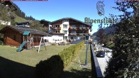 Archived image Webcam Hotel &#34;Alpenstueble&#34; 11:00