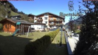 Archived image Webcam Hotel &#34;Alpenstueble&#34; 13:00