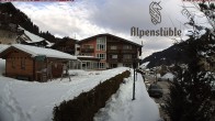 Archived image Webcam Hotel &#34;Alpenstueble&#34; 11:00