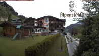 Archiv Foto Webcam Alpenstüble Hotel 11:00