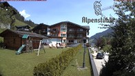 Archiv Foto Webcam Alpenstüble Hotel 11:00