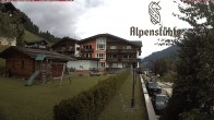 Archiv Foto Webcam Alpenstüble Hotel 13:00