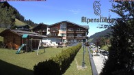 Archiv Foto Webcam Alpenstüble Hotel 13:00