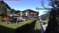 Archiv Foto Webcam Alpenstüble Hotel 15:00