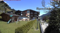 Archiv Foto Webcam Alpenstüble Hotel 11:00