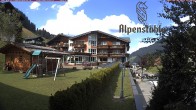 Archiv Foto Webcam Alpenstüble Hotel 15:00