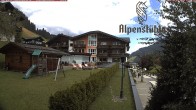Archiv Foto Webcam Alpenstüble Hotel 11:00