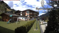 Archiv Foto Webcam Alpenstüble Hotel 13:00