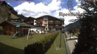 Archiv Foto Webcam Alpenstüble Hotel 13:00