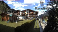 Archiv Foto Webcam Alpenstüble Hotel 15:00