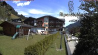 Archiv Foto Webcam Alpenstüble Hotel 11:00