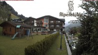 Archiv Foto Webcam Alpenstüble Hotel 13:00