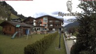 Archiv Foto Webcam Alpenstüble Hotel 13:00