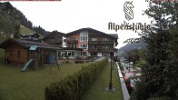 Archiv Foto Webcam Alpenstüble Hotel 11:00