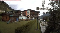 Archiv Foto Webcam Alpenstüble Hotel 11:00