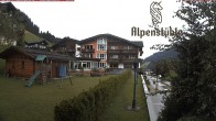 Archiv Foto Webcam Alpenstüble Hotel 11:00