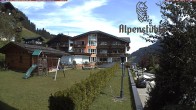 Archiv Foto Webcam Alpenstüble Hotel 11:00