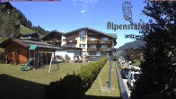 Archiv Foto Webcam Alpenstüble Hotel 13:00