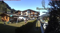 Archiv Foto Webcam Alpenstüble Hotel 15:00