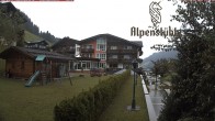 Archived image Webcam Hotel &#34;Alpenstueble&#34; 11:00