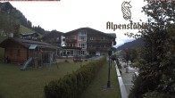 Archiv Foto Webcam Alpenstüble Hotel 14:00