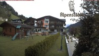 Archiv Foto Webcam Alpenstüble Hotel 11:00