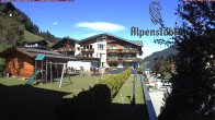 Archiv Foto Webcam Alpenstüble Hotel 20:00