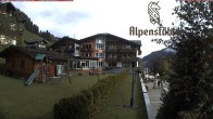 Archived image Webcam Hotel &#34;Alpenstueble&#34; 09:00