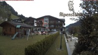 Archiv Foto Webcam Alpenstüble Hotel 17:00