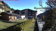Archived image Webcam Hotel &#34;Alpenstueble&#34; 08:00