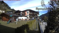 Archiv Foto Webcam Alpenstüble Hotel 11:00