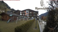 Archived image Webcam Hotel &#34;Alpenstueble&#34; 11:00