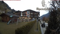 Archived image Webcam Hotel &#34;Alpenstueble&#34; 17:00