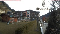 Archived image Webcam Hotel &#34;Alpenstueble&#34; 07:00